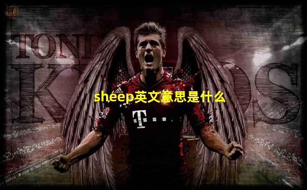 sheep英文意思是什么