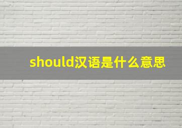 should汉语是什么意思