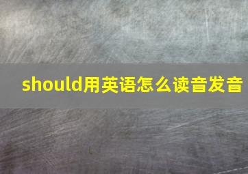 should用英语怎么读音发音