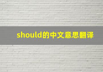 should的中文意思翻译