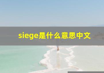 siege是什么意思中文