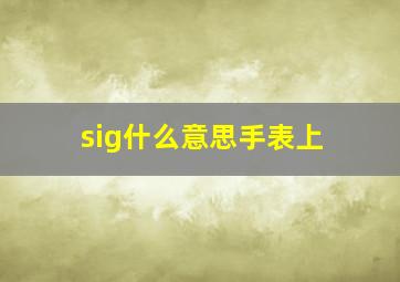 sig什么意思手表上