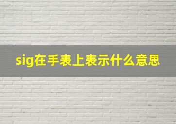 sig在手表上表示什么意思