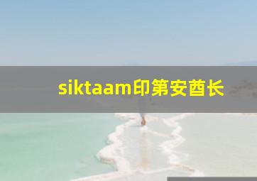 siktaam印第安酋长