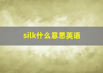 silk什么意思英语