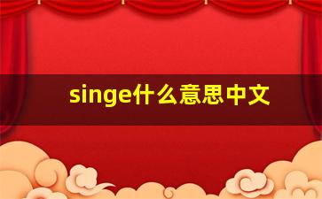 singe什么意思中文