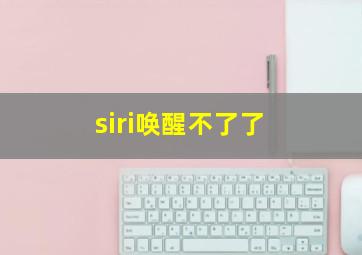 siri唤醒不了了