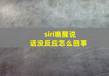 siri唤醒说话没反应怎么回事