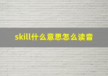 skill什么意思怎么读音