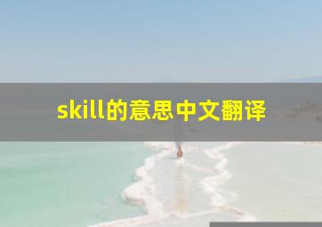 skill的意思中文翻译