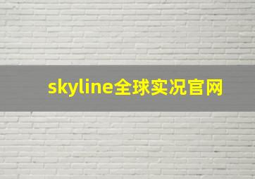 skyline全球实况官网