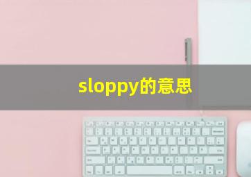 sloppy的意思