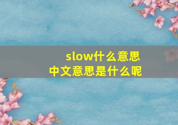 slow什么意思中文意思是什么呢