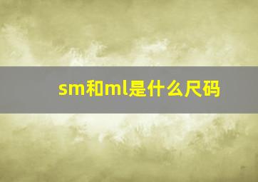 sm和ml是什么尺码