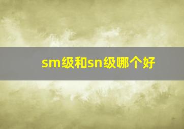 sm级和sn级哪个好