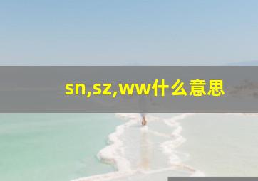 sn,sz,ww什么意思