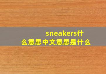 sneakers什么意思中文意思是什么