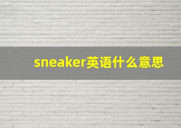 sneaker英语什么意思