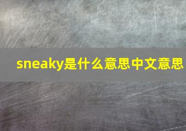 sneaky是什么意思中文意思