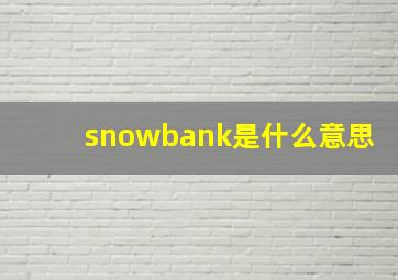 snowbank是什么意思