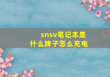 snsv笔记本是什么牌子怎么充电