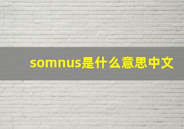 somnus是什么意思中文