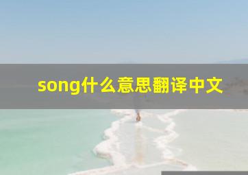 song什么意思翻译中文