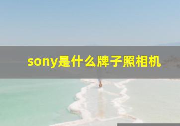 sony是什么牌子照相机