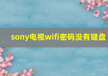 sony电视wifi密码没有键盘