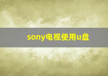 sony电视使用u盘