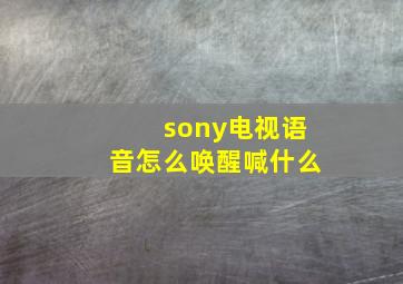 sony电视语音怎么唤醒喊什么