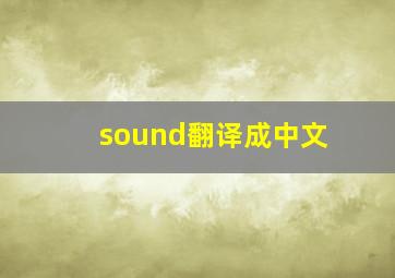 sound翻译成中文