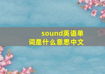 sound英语单词是什么意思中文