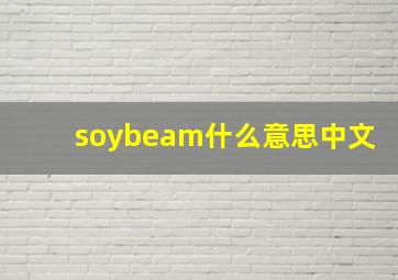 soybeam什么意思中文