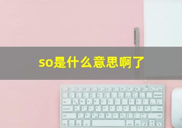 so是什么意思啊了