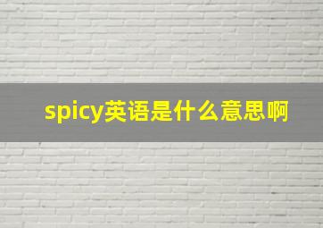 spicy英语是什么意思啊