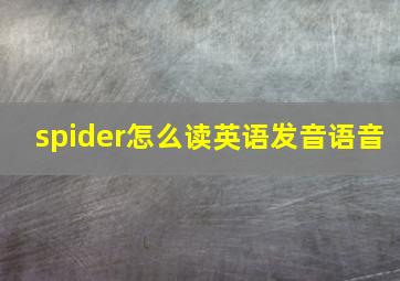 spider怎么读英语发音语音