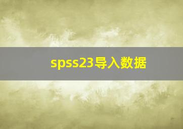 spss23导入数据