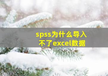 spss为什么导入不了excel数据