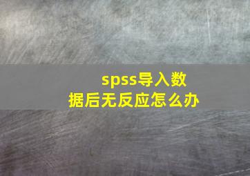 spss导入数据后无反应怎么办