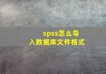 spss怎么导入数据库文件格式