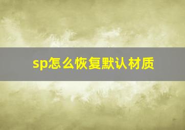 sp怎么恢复默认材质