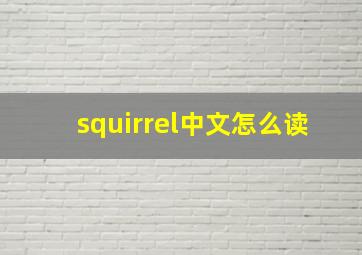 squirrel中文怎么读