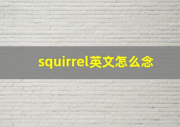 squirrel英文怎么念