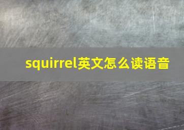 squirrel英文怎么读语音