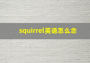 squirrel英语怎么念