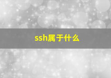 ssh属于什么