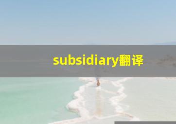 subsidiary翻译