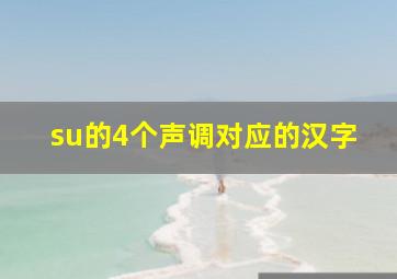 su的4个声调对应的汉字