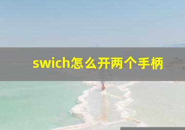 swich怎么开两个手柄